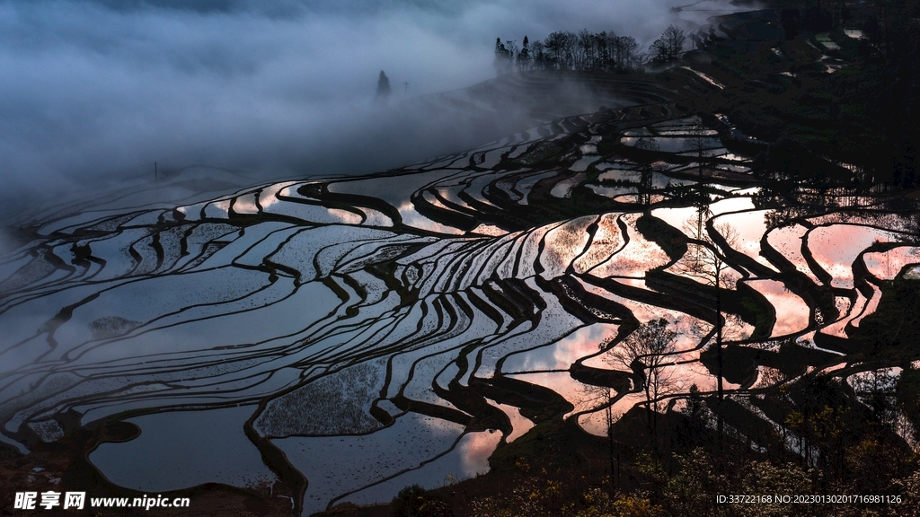 梯田