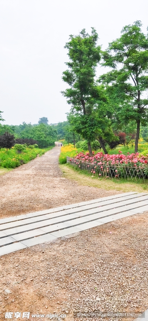 即墨马山美景