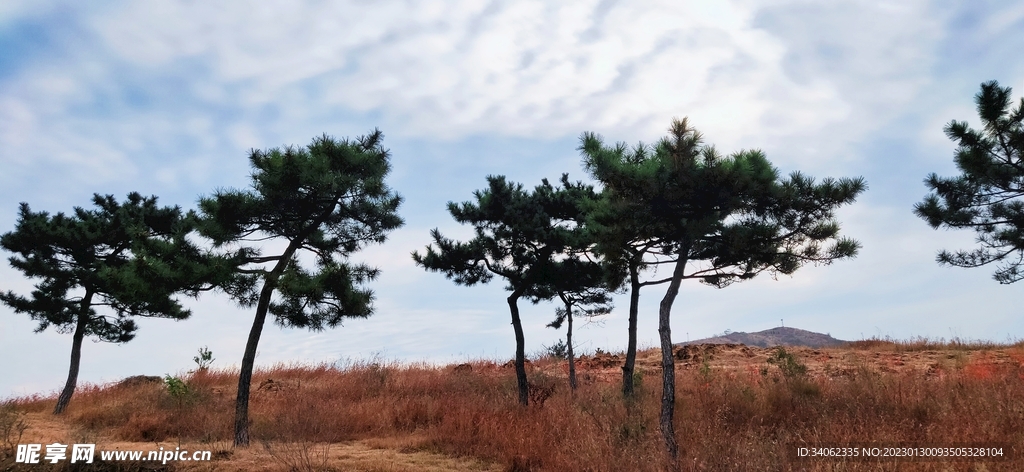 即墨马山美景