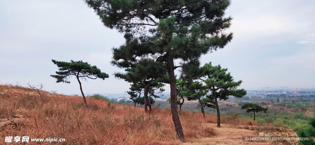 即墨马山美景