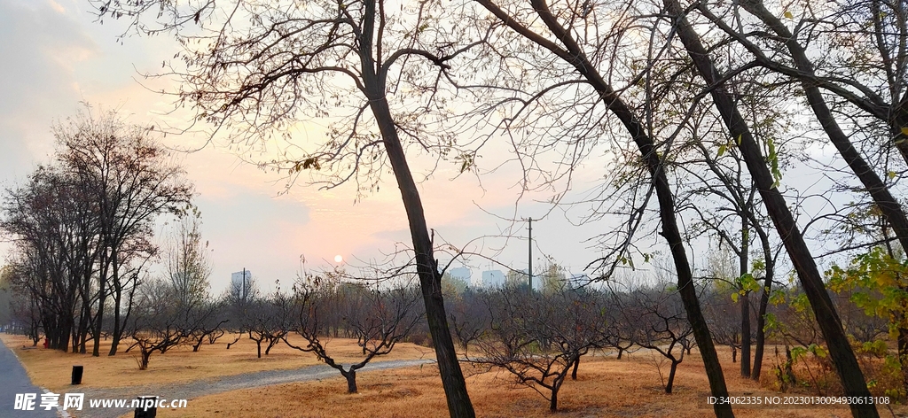 即墨马山美景
