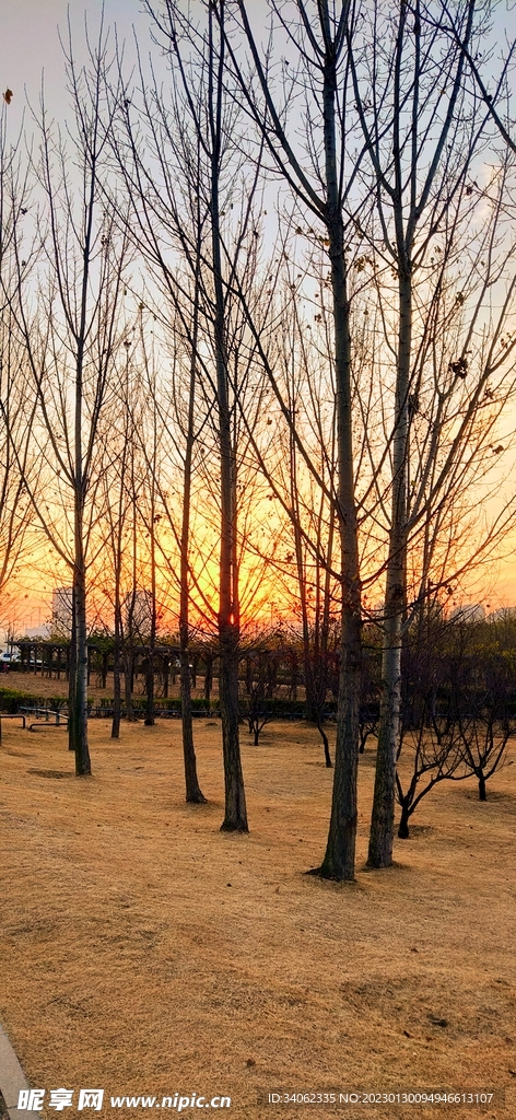 即墨马山美景