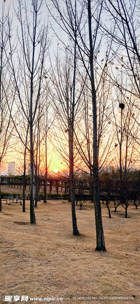 即墨马山美景