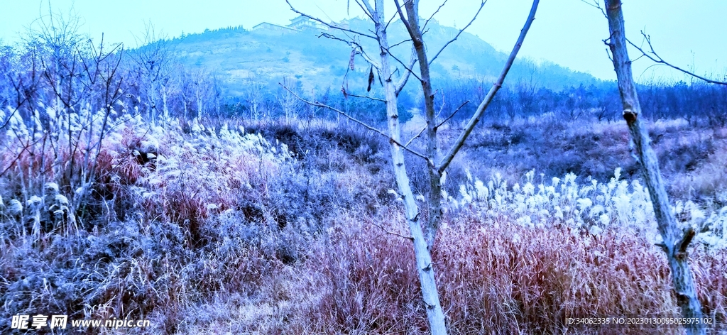 即墨马山美景
