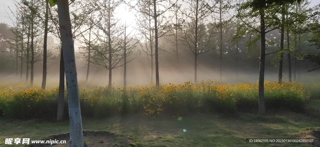 即墨马山美景