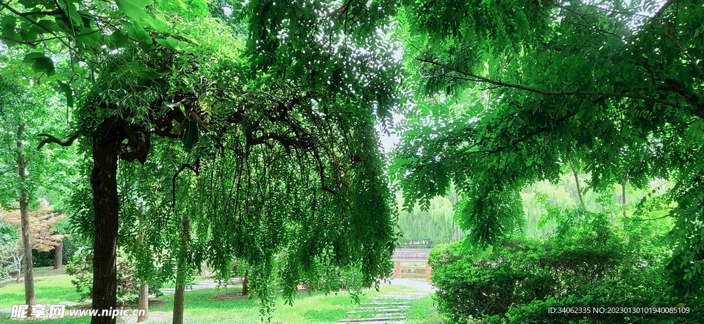 即墨马山美景