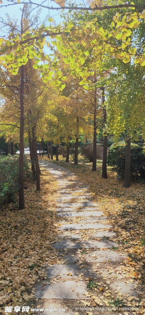 即墨马山美景