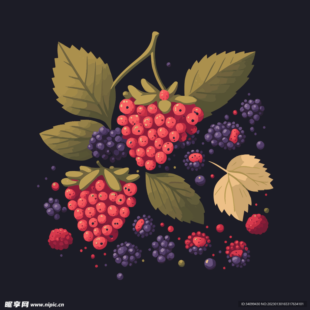 卡通树莓