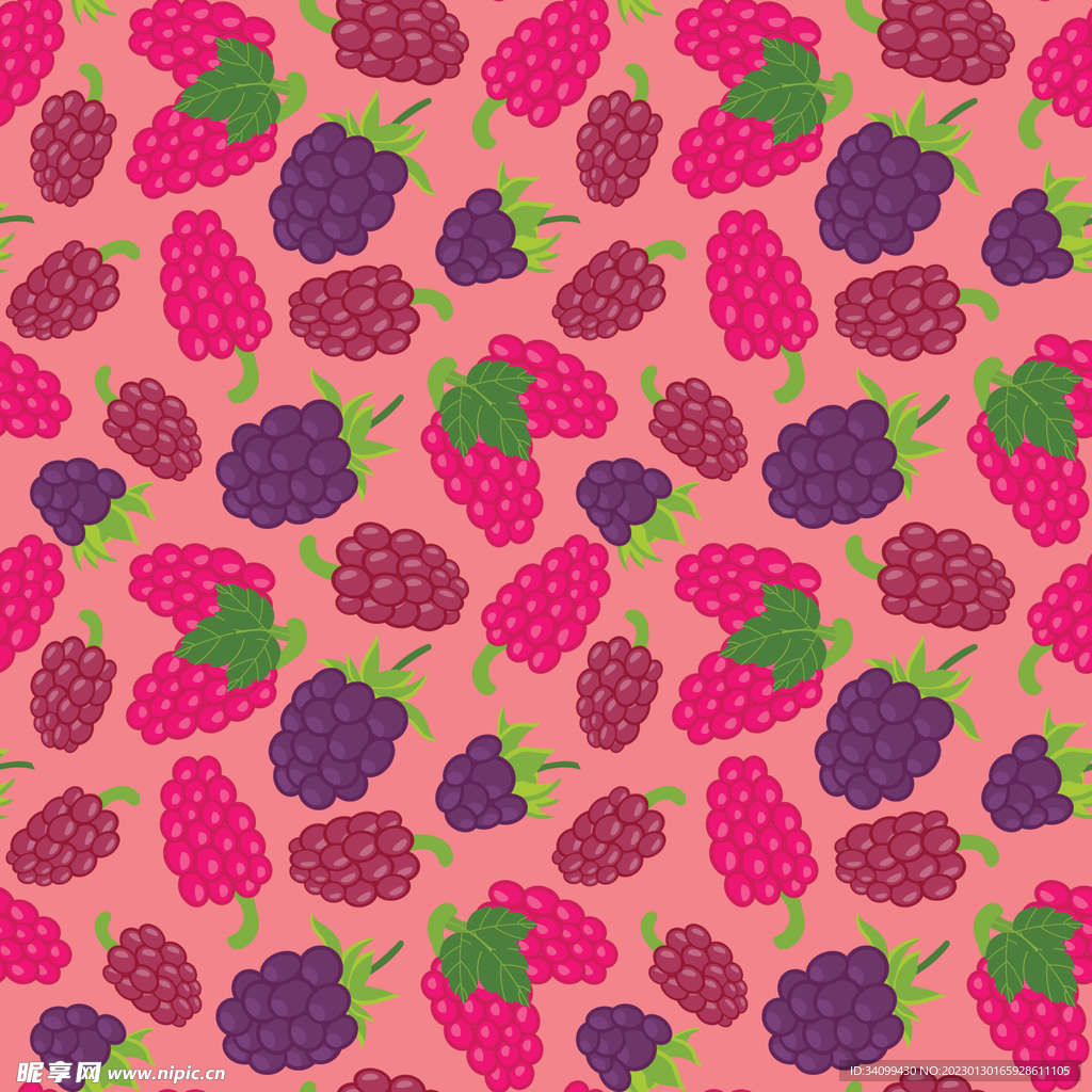 树莓桑葚图案