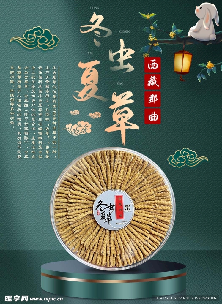 冬虫夏草海报