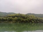 青山 绿水