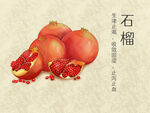 手绘水彩水果石榴