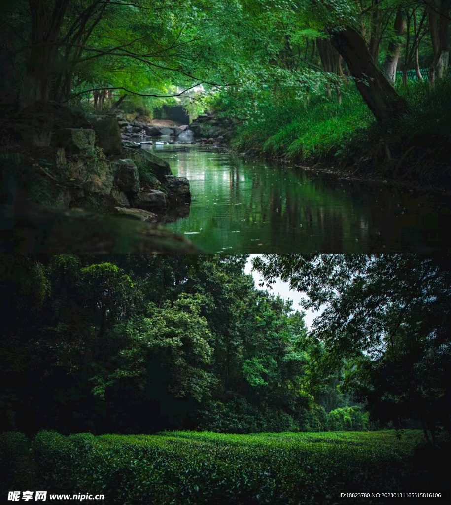 青山绿水