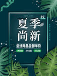 夏季尚新
