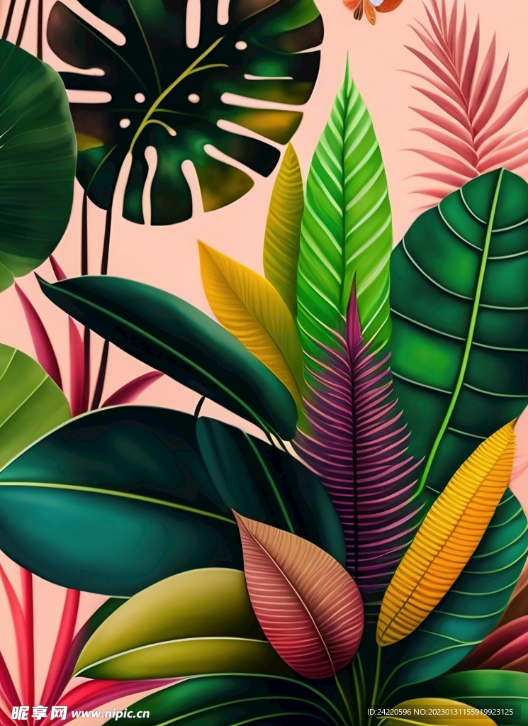 植物插画