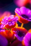 鲜花插画