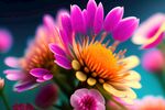 鲜花插画