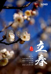大气立春海报