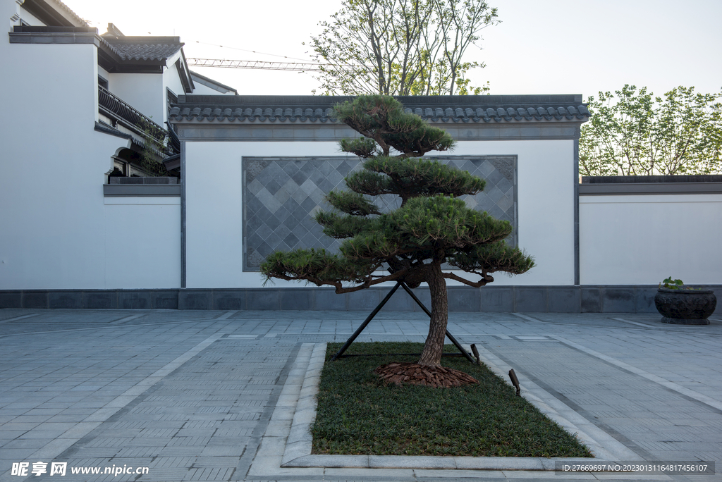 别墅 青松 风景 中式  合院