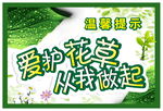 爱护花草 从我做起 