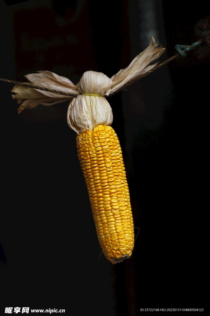 玉米