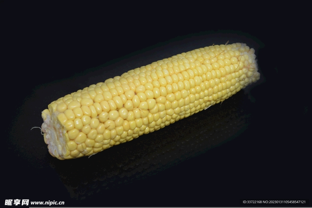 玉米