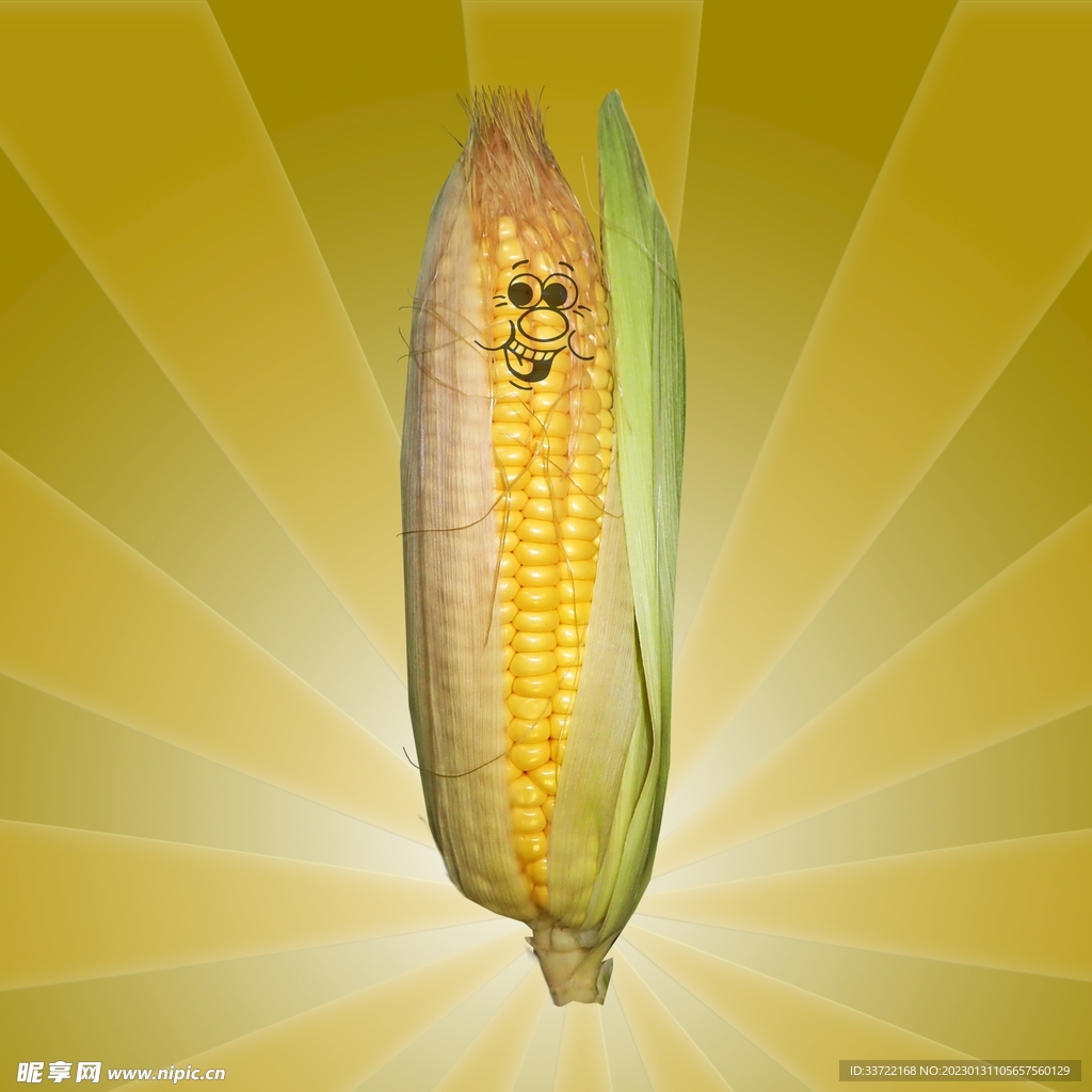 玉米