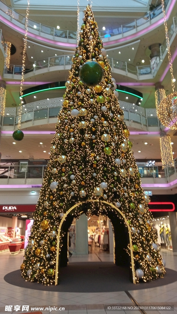 圣诞树
