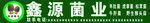 羊肚菌店招