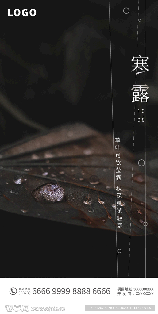 寒露海报