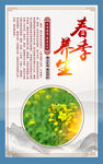 春季养生