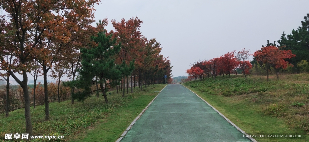 马山艺术摄影