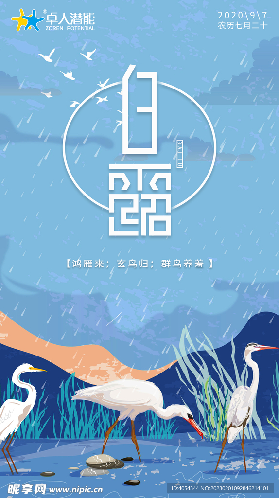 白露节气品宣海报