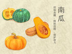 蔬菜南瓜插画