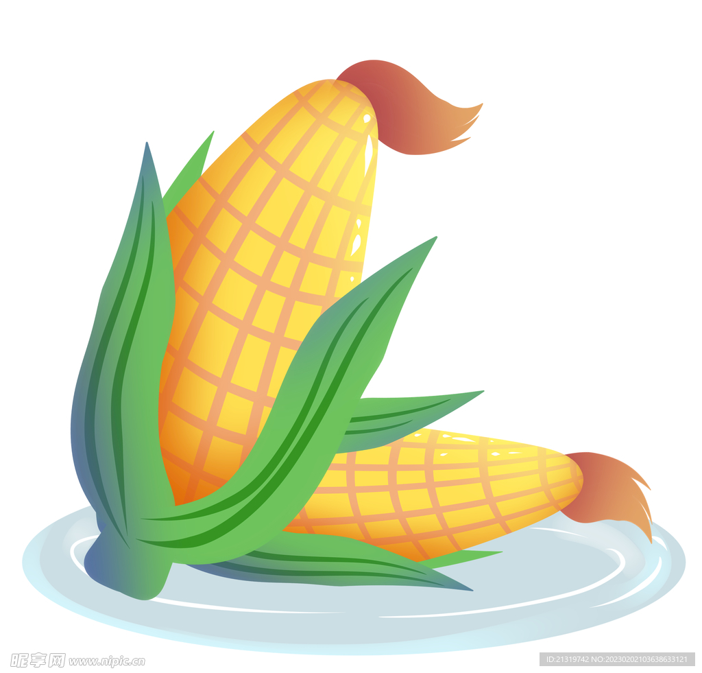 玉米插画素材