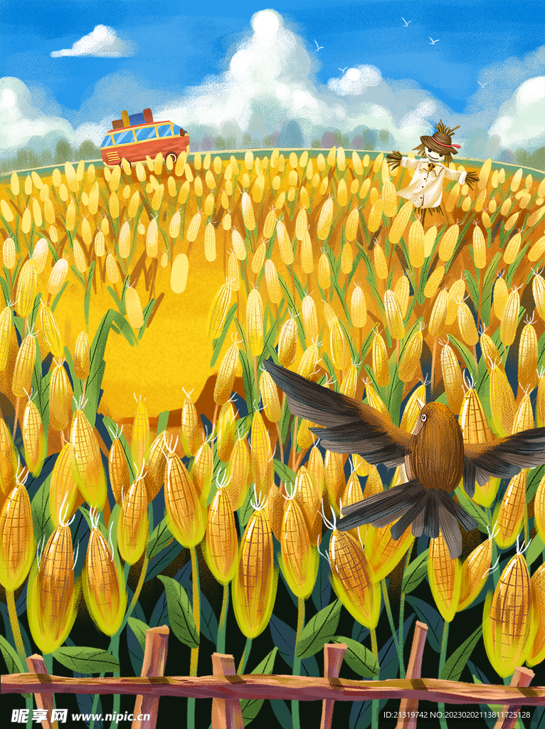 玉米插画海报
