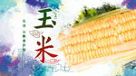 玉米宣传展板