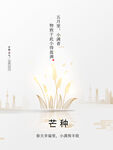 芒种简约大气节气