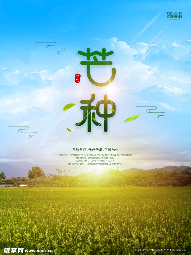 芒种摄影图海报