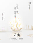简约小满节气海报