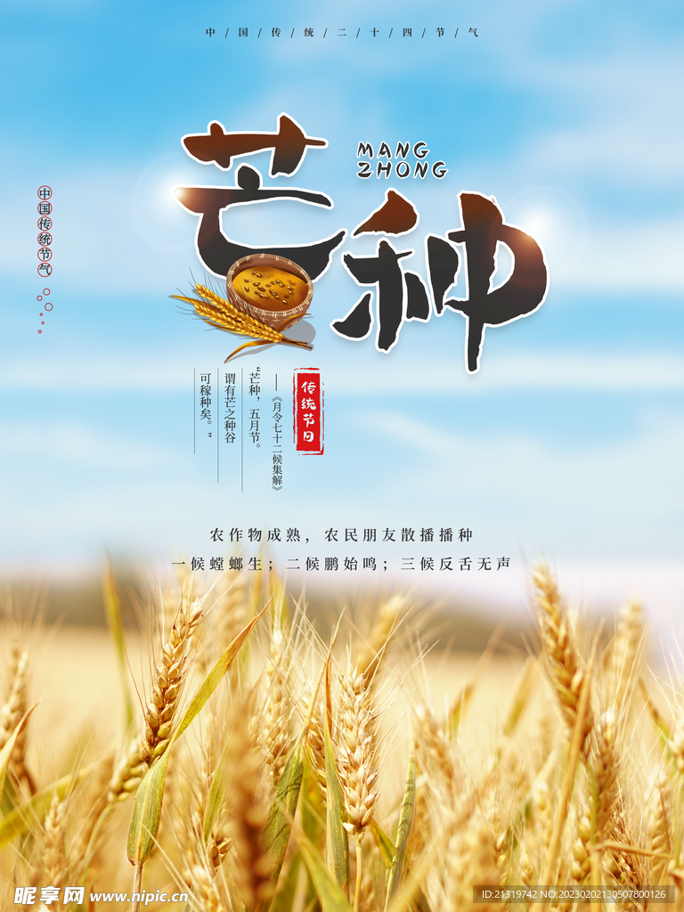 芒种节气