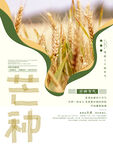 芒种小清新海报