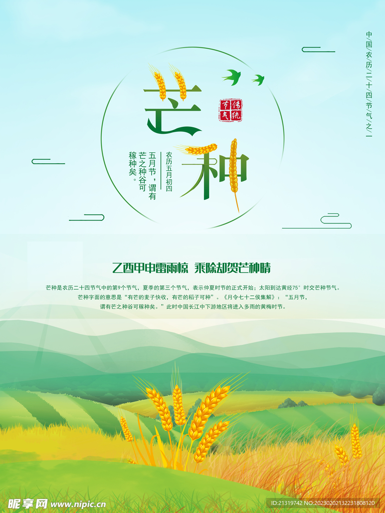 芒种节气海报