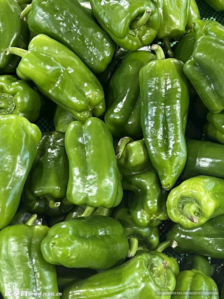菜椒