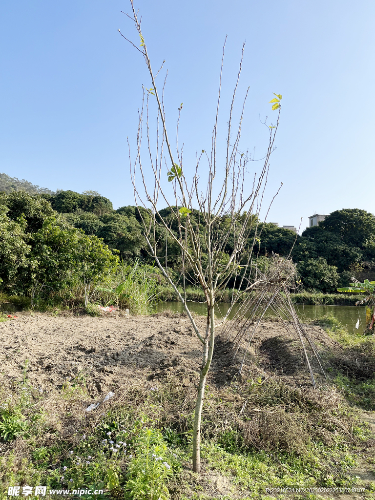 清山绿水