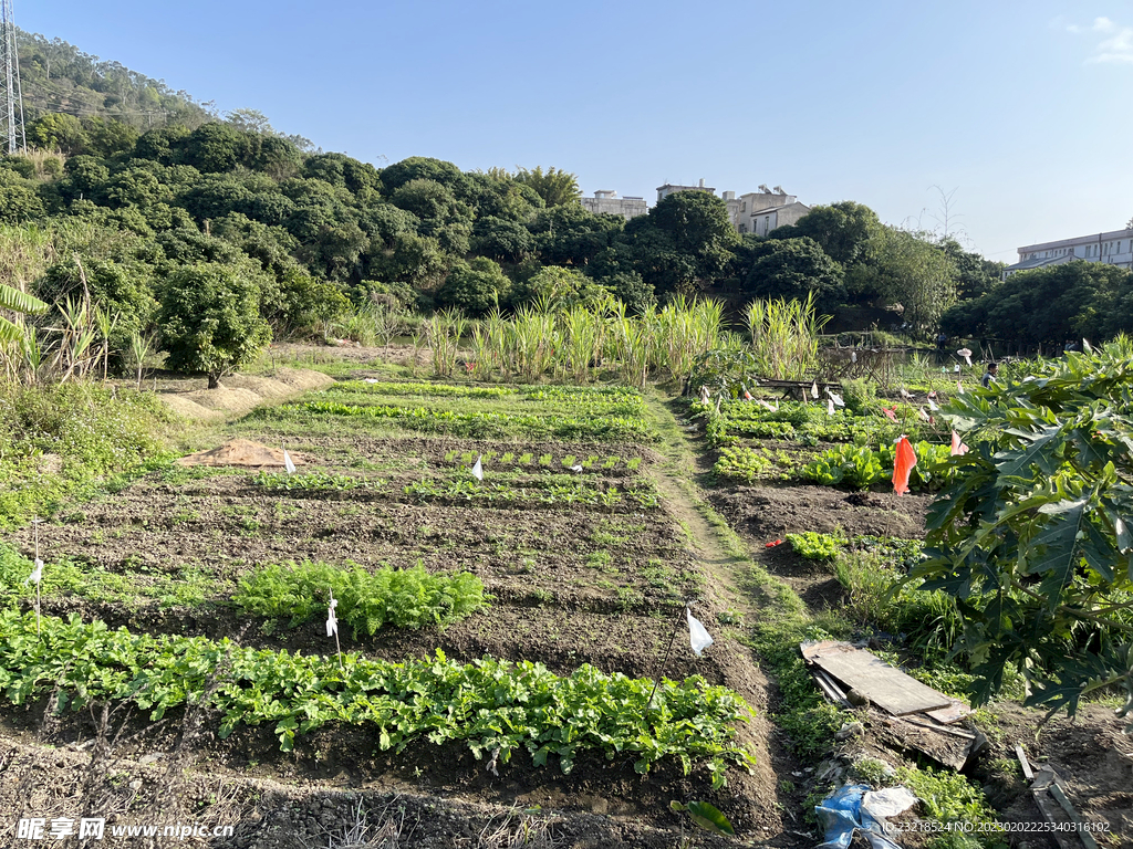 田园风景