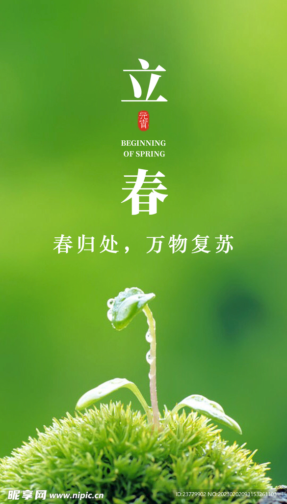 立春