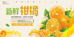 柑橘