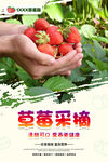 摘草莓