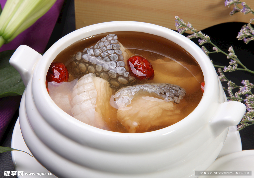 川贝炖鳄鱼汤